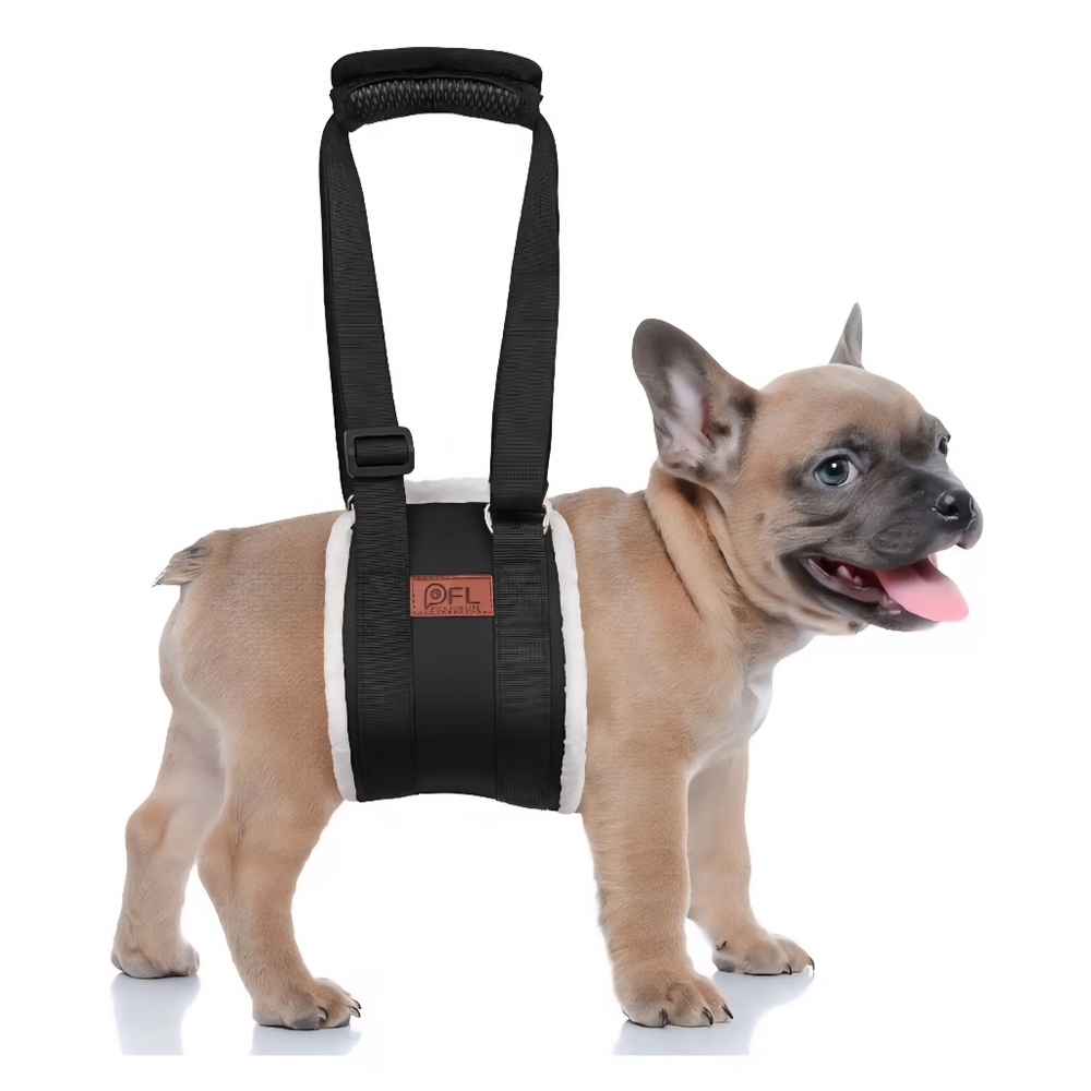Dog Support Harness with Handle - Black - Size SMALL